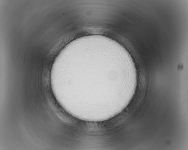 X0000114000406200911131145