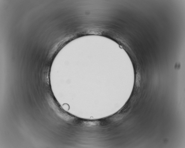 X0000114000407200911131145
