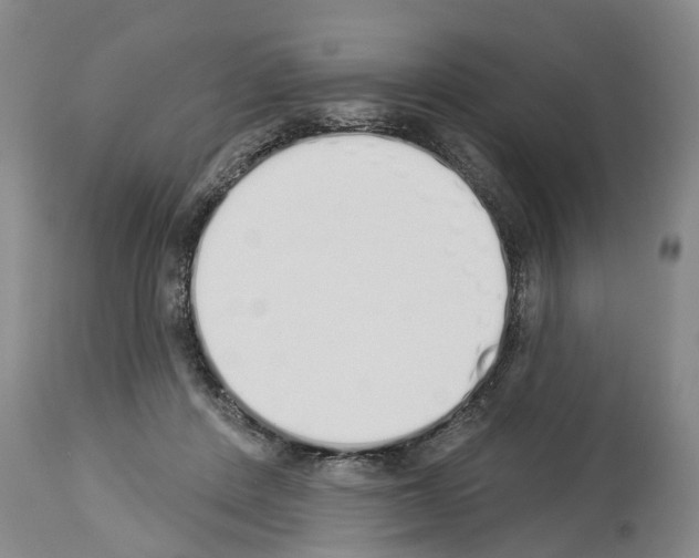 X0000114000408200911131145
