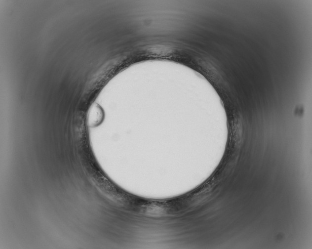 X0000114000412200911131145