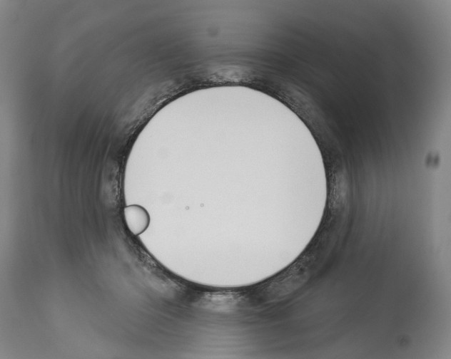 X0000114000414200911131145