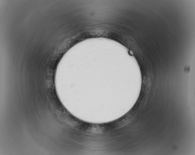 X0000114000416200911131145