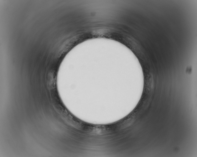 X0000114000420200911131145