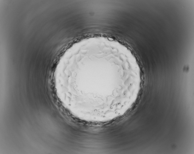 X0000114000423200911131145