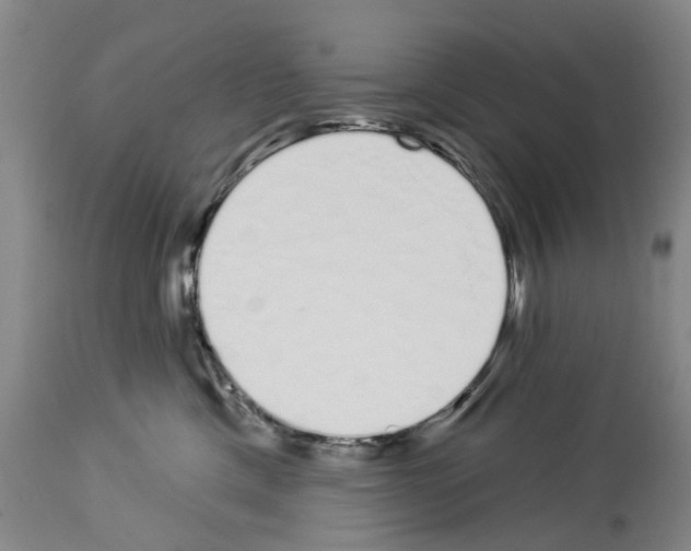 X0000114000425200911131145