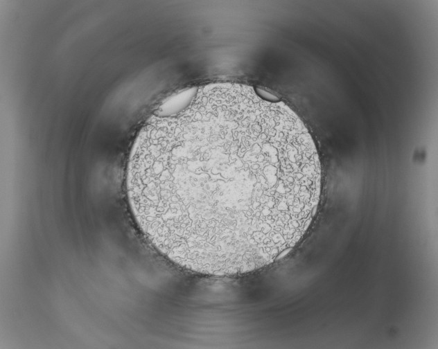 X0000114000427200911131145