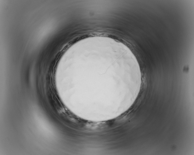 X0000114000429200911131145