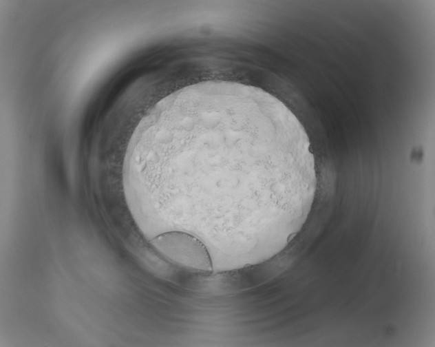 X0000114000430200911131145