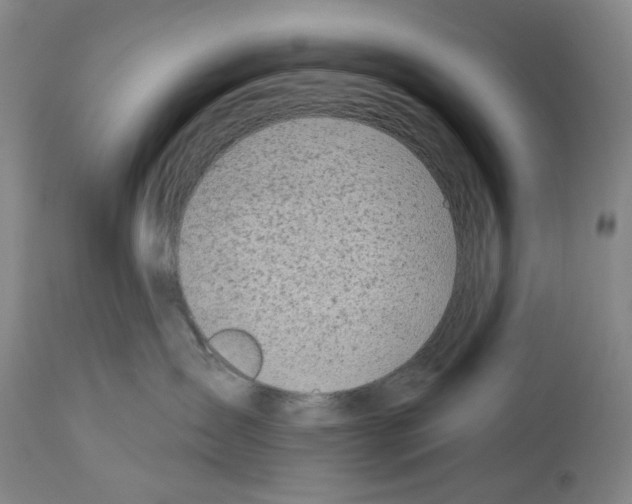 X0000114000431200911131145