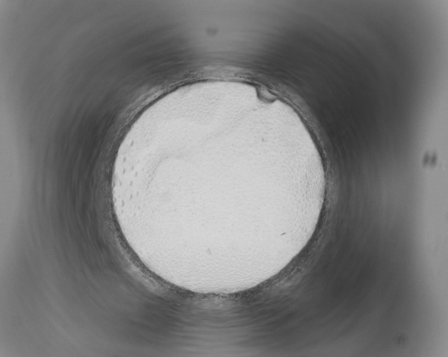 X0000114000433200911131144