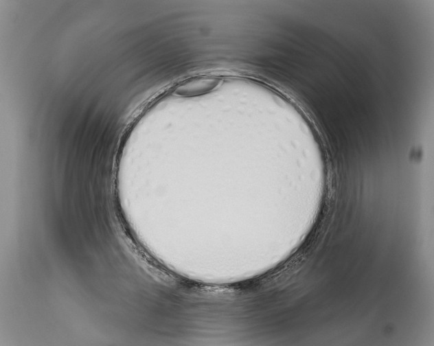 X0000114000437200911131144