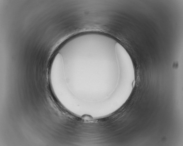 X0000114000440200911131144