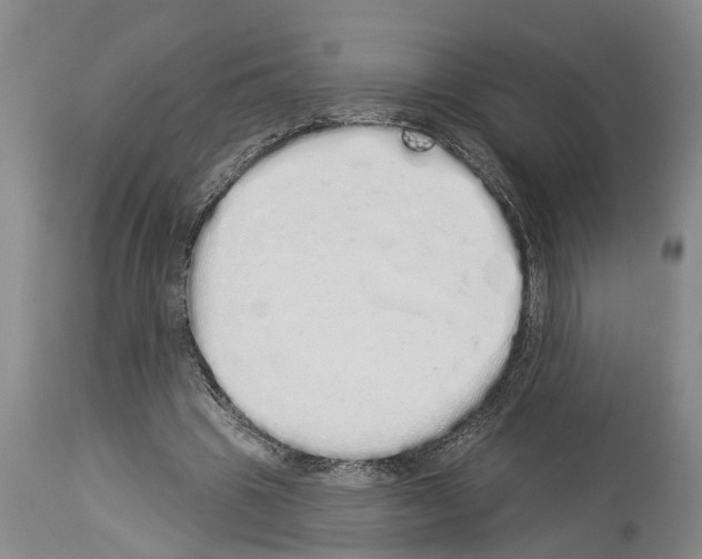 X0000114000441200911131144