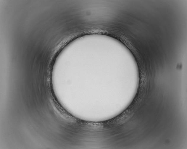 X0000114000443200911131144