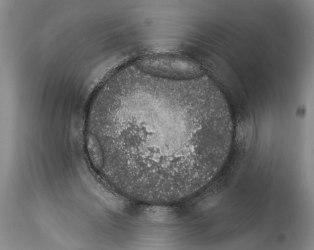 X0000114000444200911131144