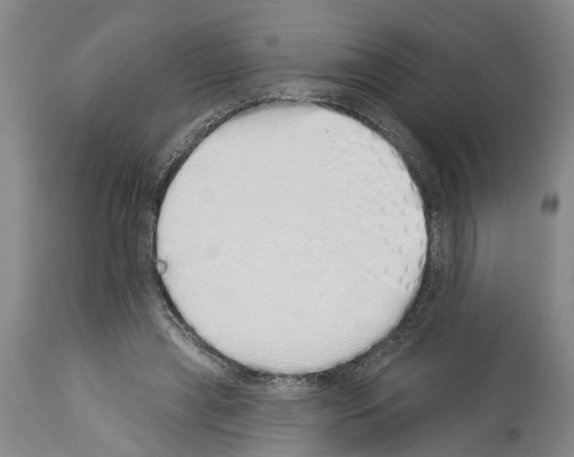 X0000114000445200911131144