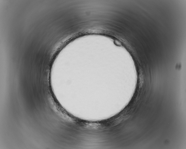 X0000114000446200911131144