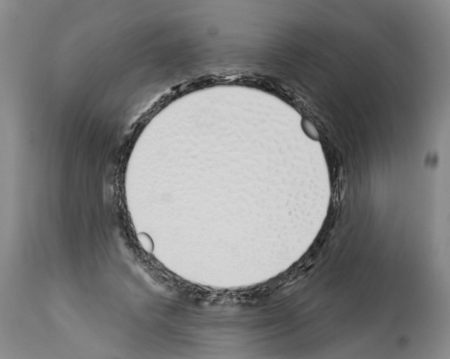 X0000114000448200911131144