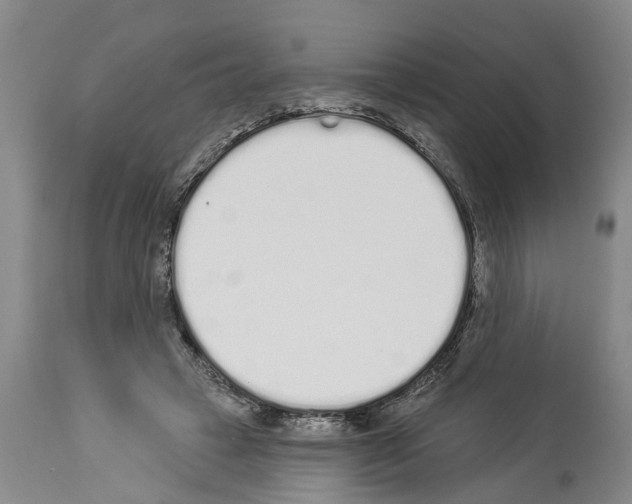 X0000114000449200911131144
