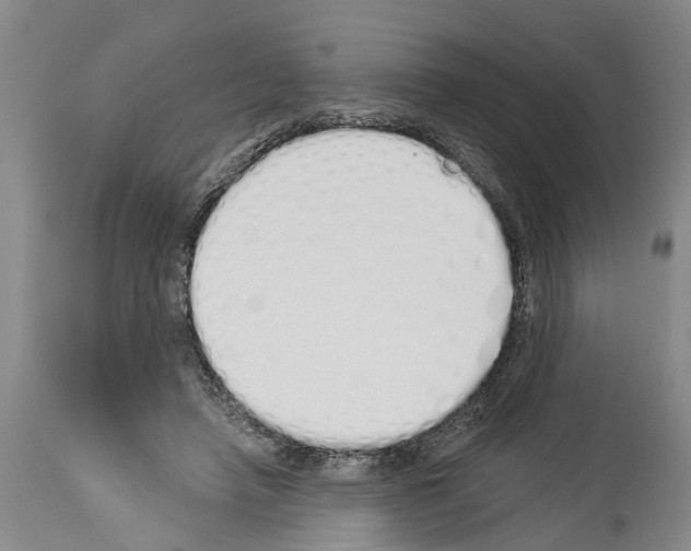 X0000114000450200911131144
