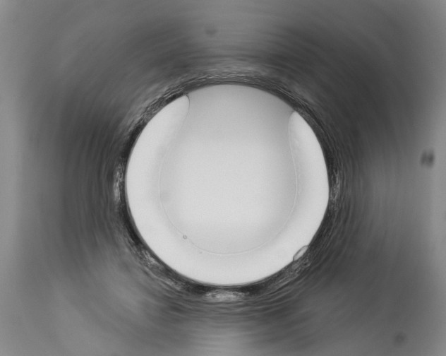 X0000114000452200911131144
