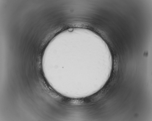X0000114000453200911131144