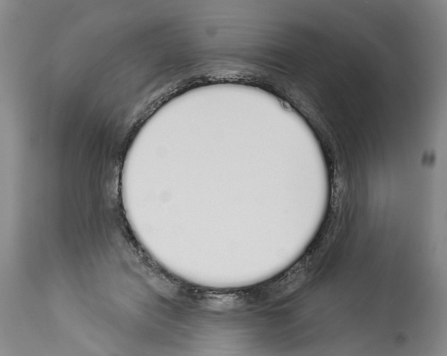 X0000114000454200911131145