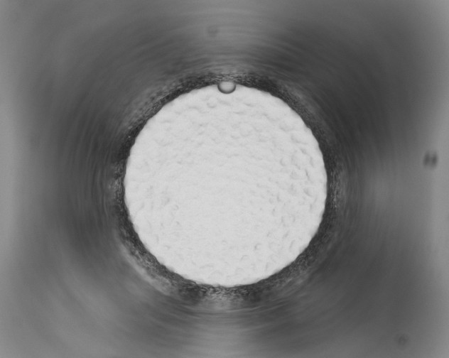 X0000114000455200911131145
