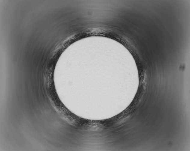 X0000114000456200911131145