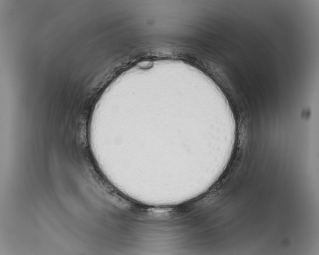 X0000114000457200911131145