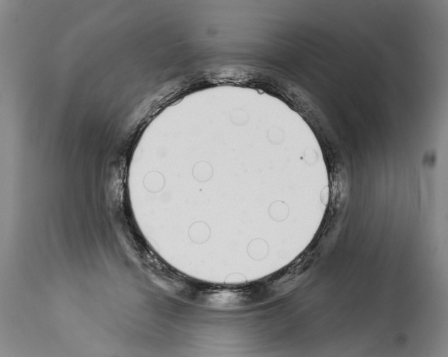 X0000114000460200911131145