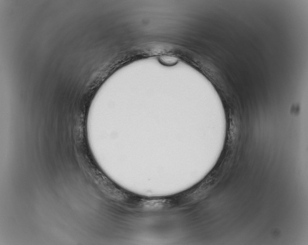 X0000114000461200911131145