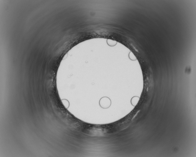 X0000114000464200911131145