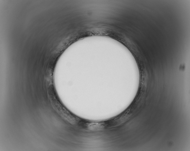X0000114000465200911131145