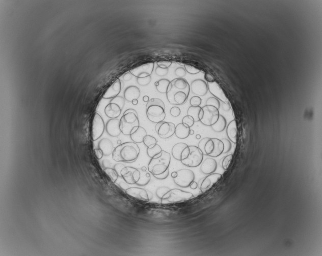 X0000114000466200911131145