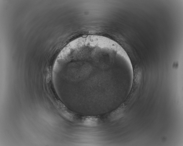 X0000114000471200911131145