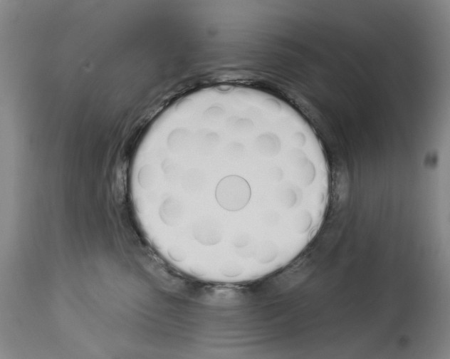 X0000114000475200911131145