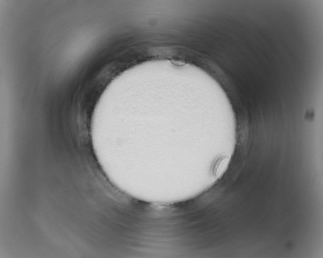 X0000114000477200911131145