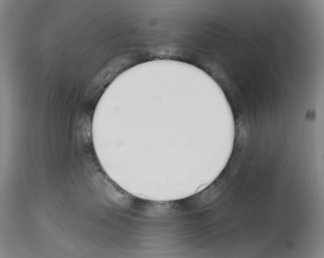 X0000114000479200911131145