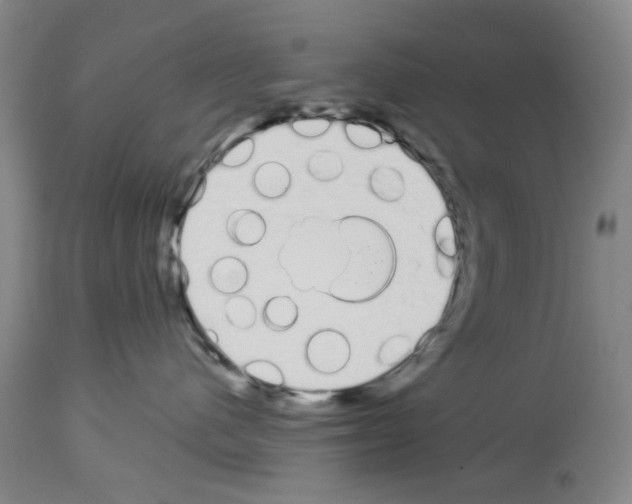 X0000114000480200911131145