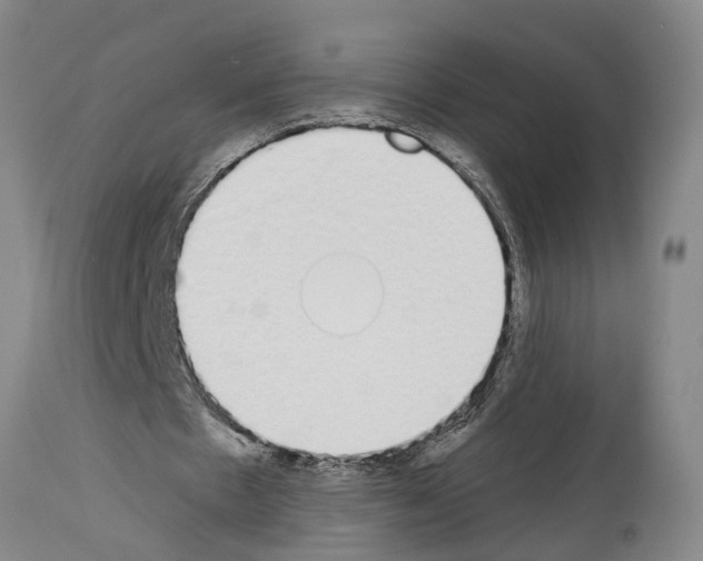X0000114000481200911131144