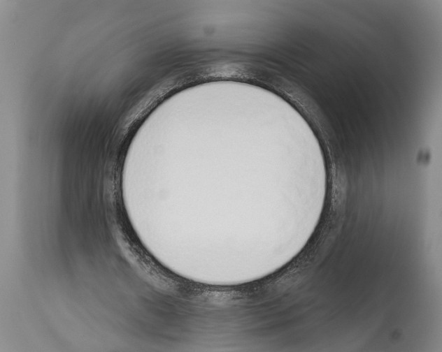 X0000114000482200911131144