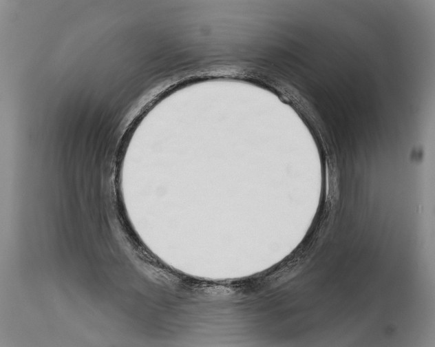 X0000114000483200911131144