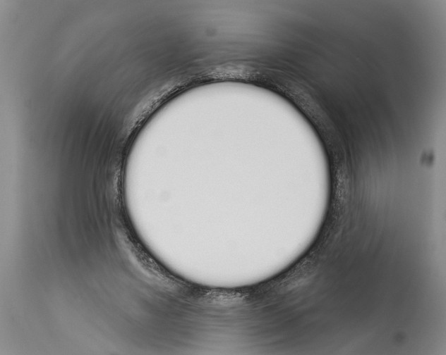 X0000114000491200911131144