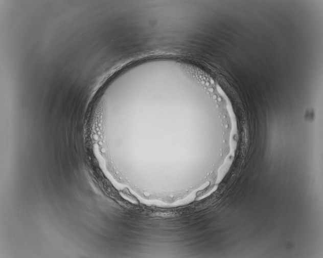 X0000114000492200911131144