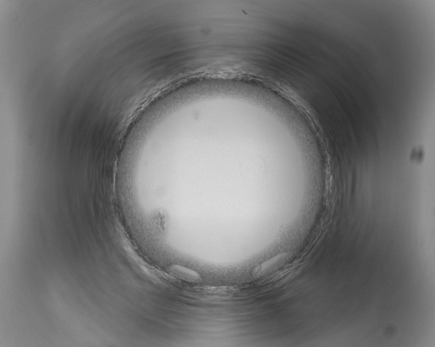 X0000114000493200911131144