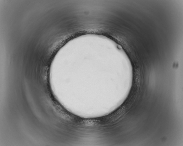 X0000114000495200911131144