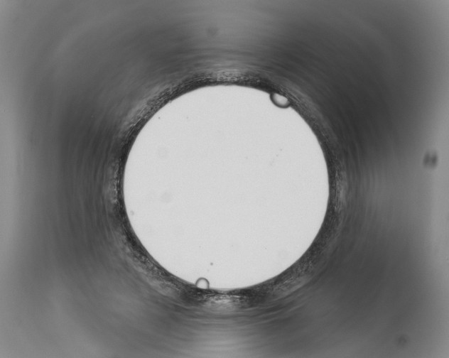 X0000114000497200911131144