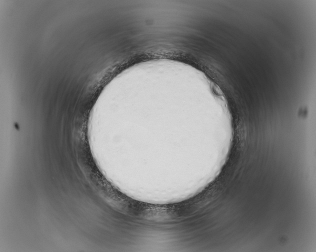 X0000114000499200911131144
