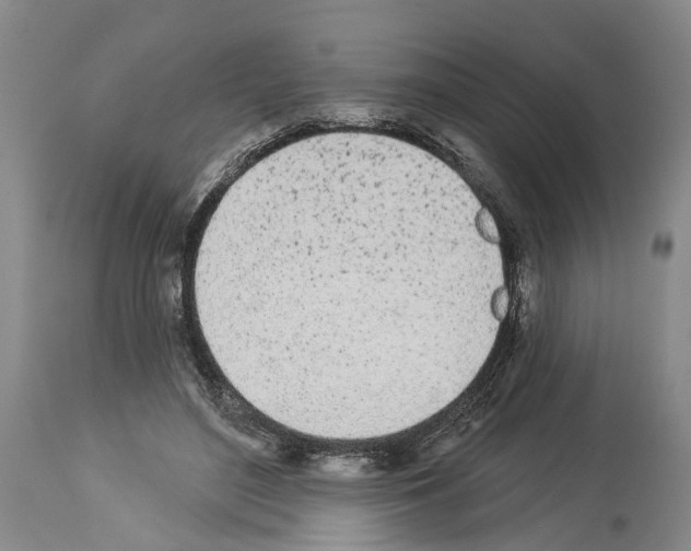 X0000114000500200911131144